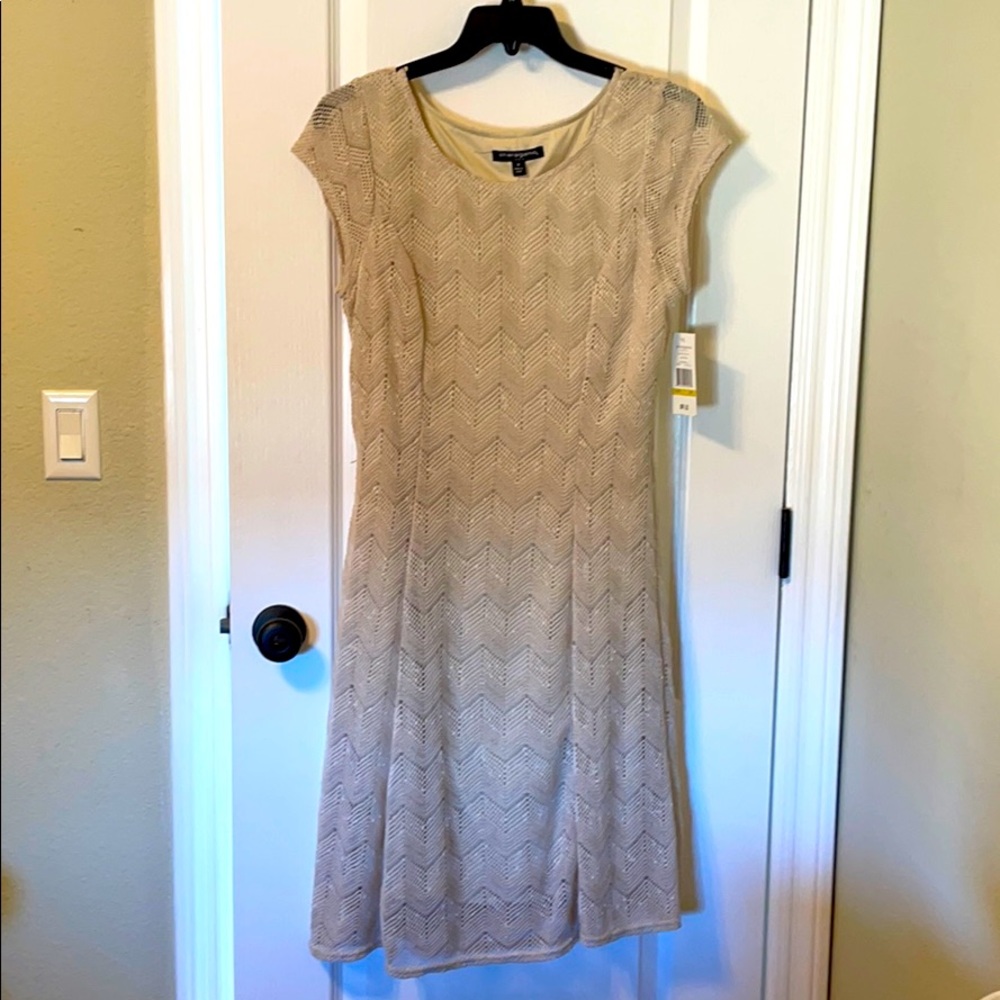 Sharagano shimmer dress